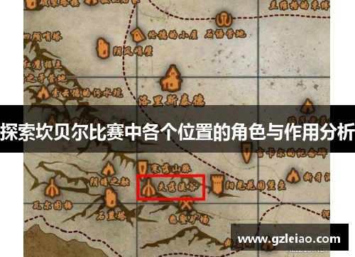 探索坎贝尔比赛中各个位置的角色与作用分析